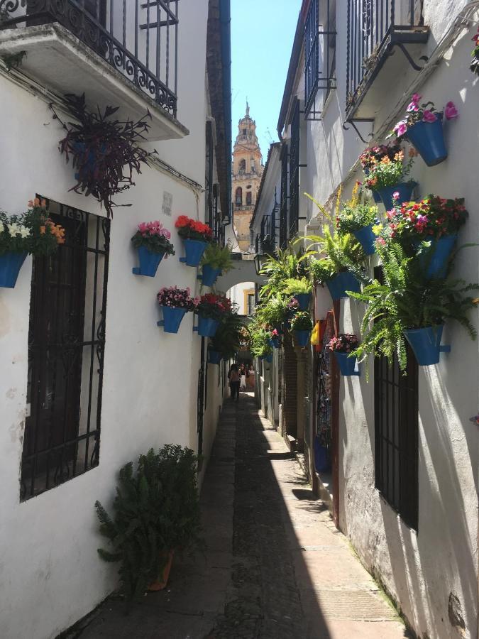 Conde de Vallellano Cordova Esterno foto